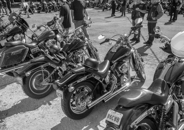 DSC_0952