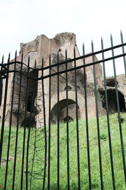 529210_3687537834885_1776417837_n