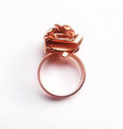 Anillo Gramínea Rosa.