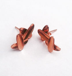 Topos Gramínea Opuestos Rosa.