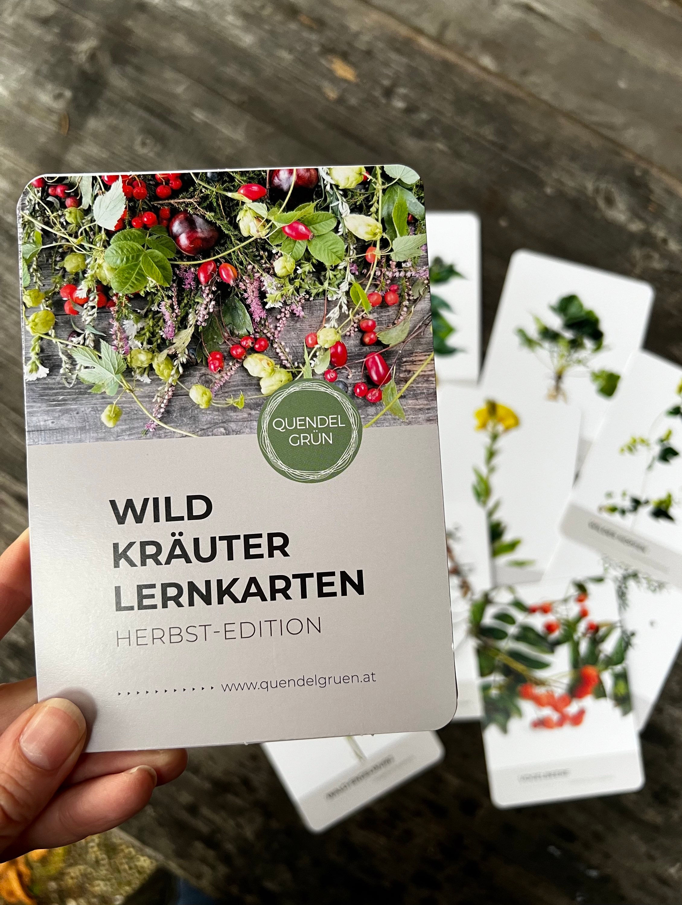 Wildkräuter-Lernkarten [Herbst-Edition]