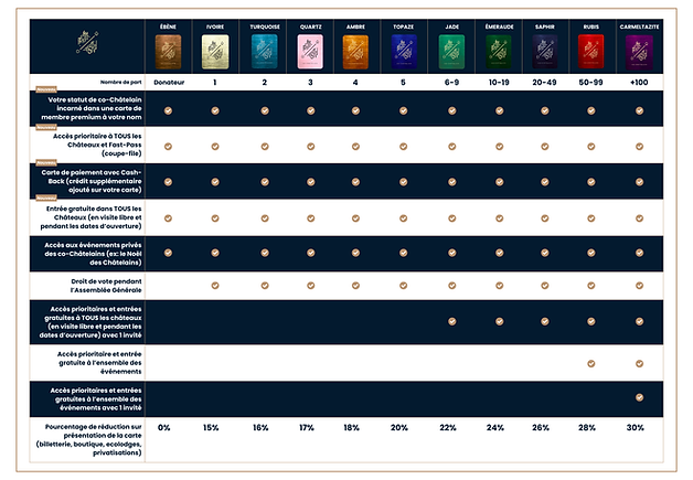 V10_TABLEAU_PRIVILEGES_FR.png