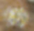 IMG_0689_edited.jpg