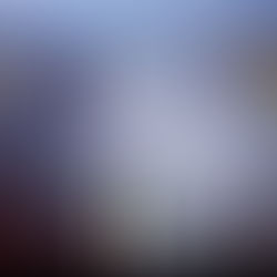 Crafting sessions with @Heughbatterymuseum Hartlepool