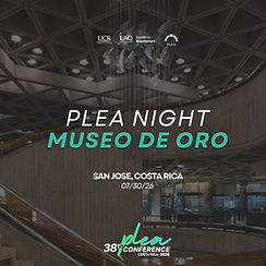 PLEA NIGHT MUSEO DE ORO.jpg