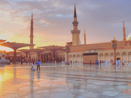 Vertiseed Farms: Cultivating Success with Major Hotel Partnerships in Saudi Arabia