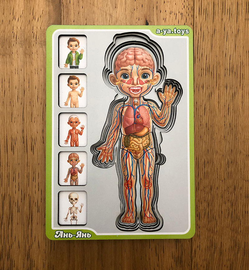 משחקים ולומדים