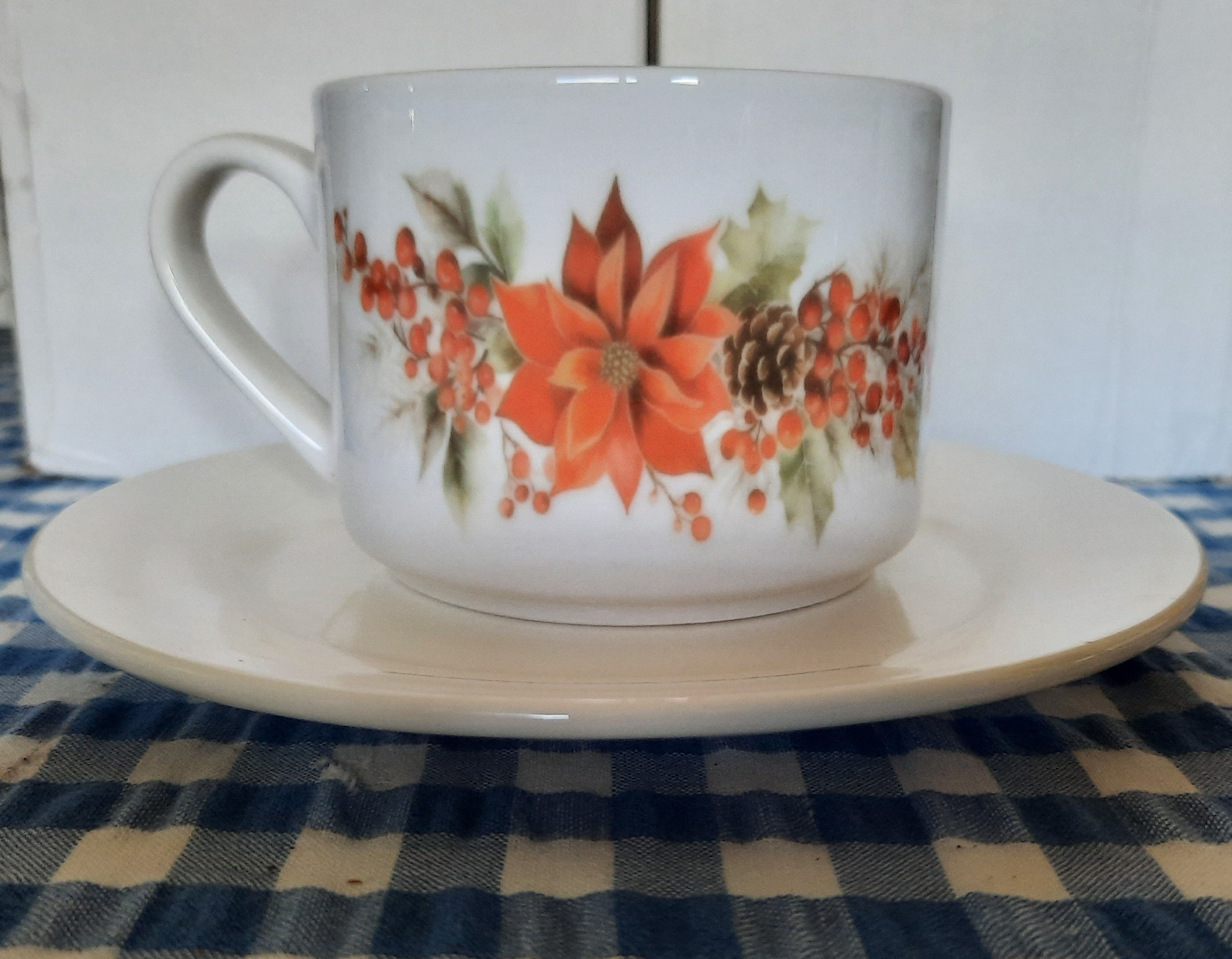 Beautiful Tea Cup & Plate