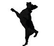DWH tiny dogs 03.jpg