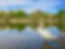 Josane Rosa Doyle Bruce Park Swan.jpg