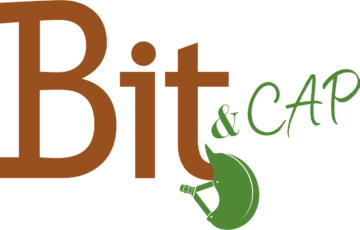 cropped-Bit_Cap_logo_2022-03.webp