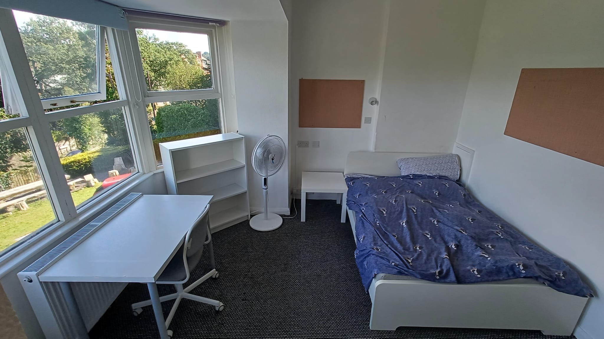 Meirion Large Semi En Suite — photo 5