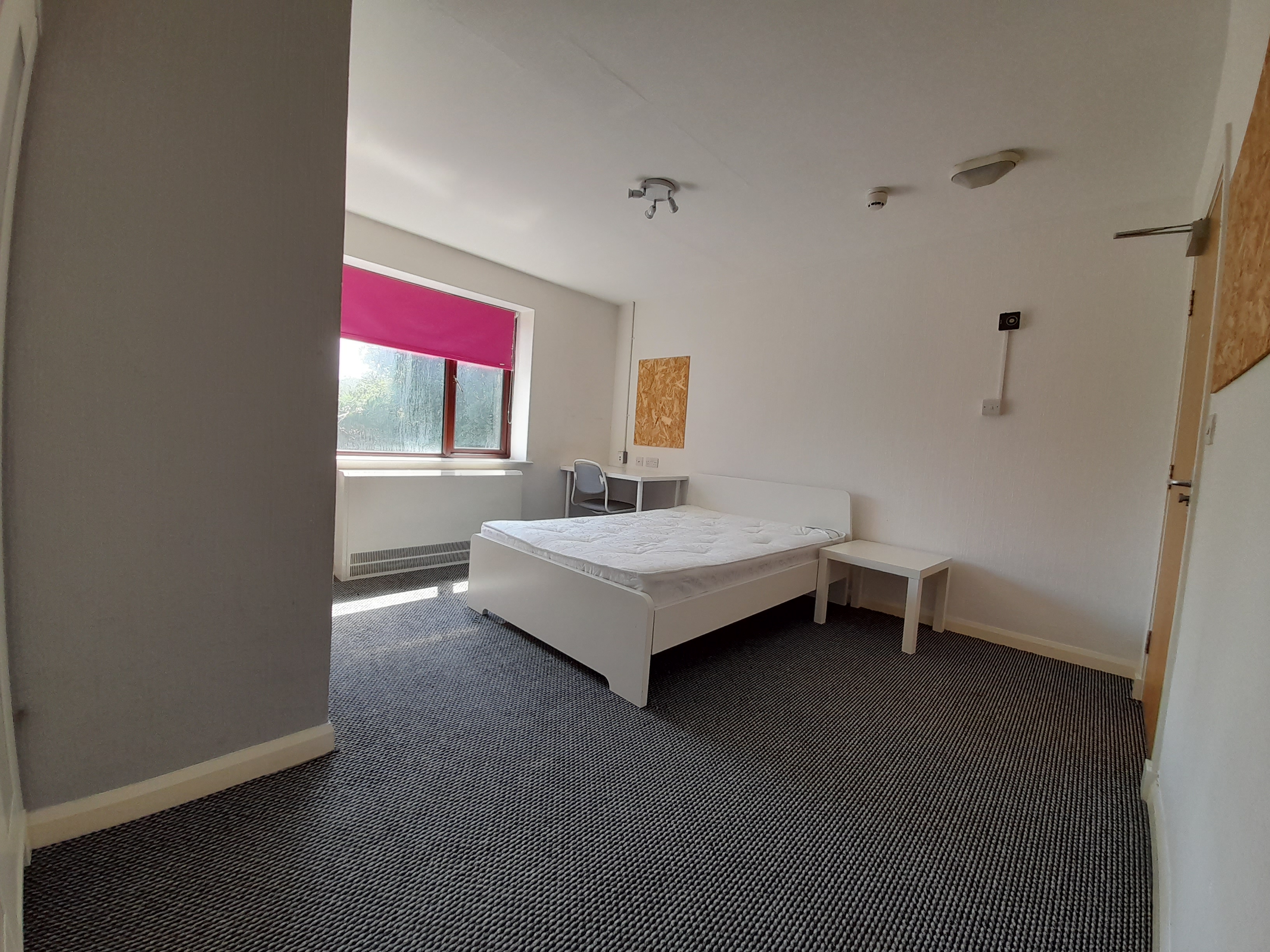 Meirion Large En Suite — photo 4