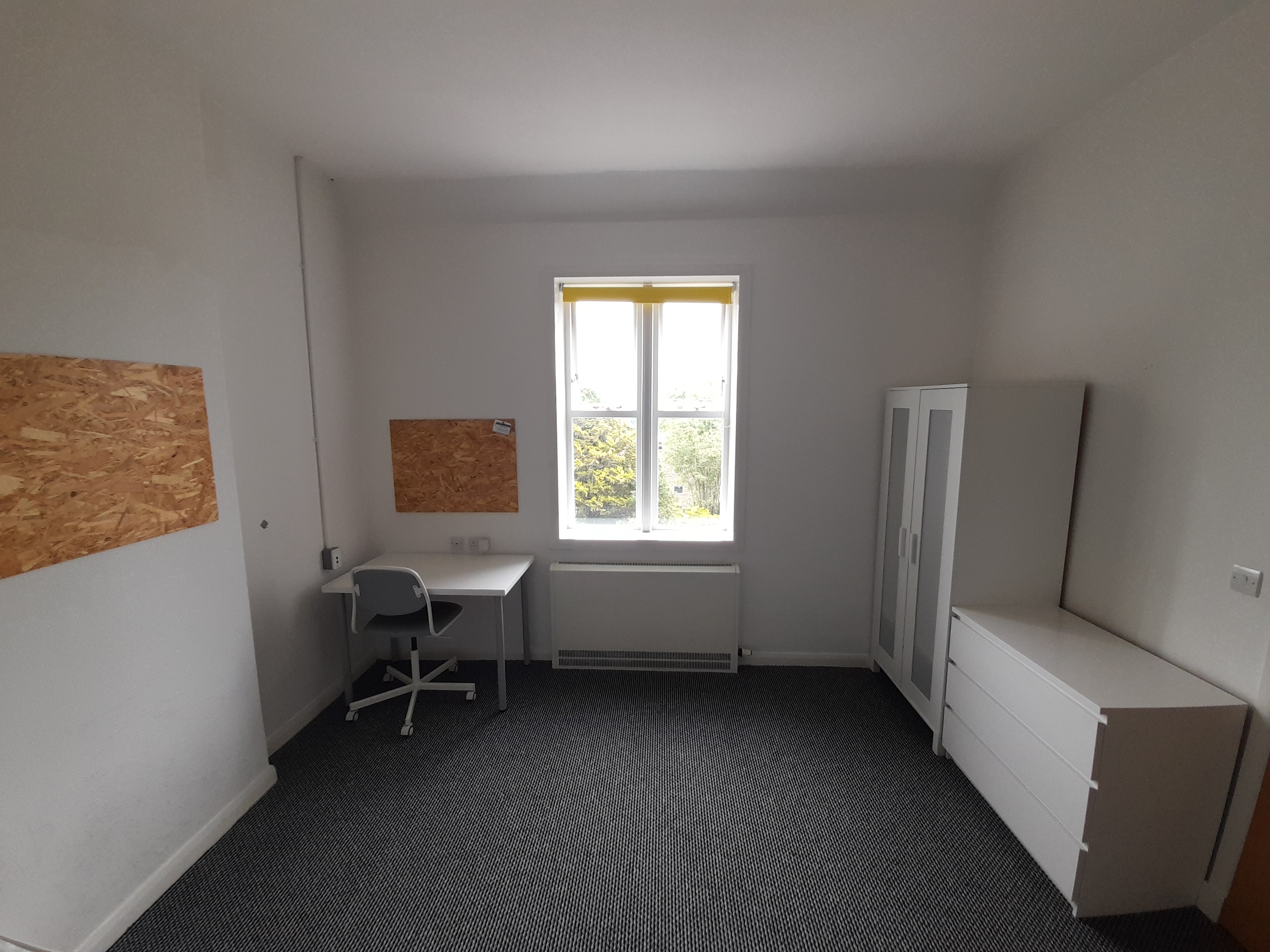Meirion Large Semi En Suite — photo 8