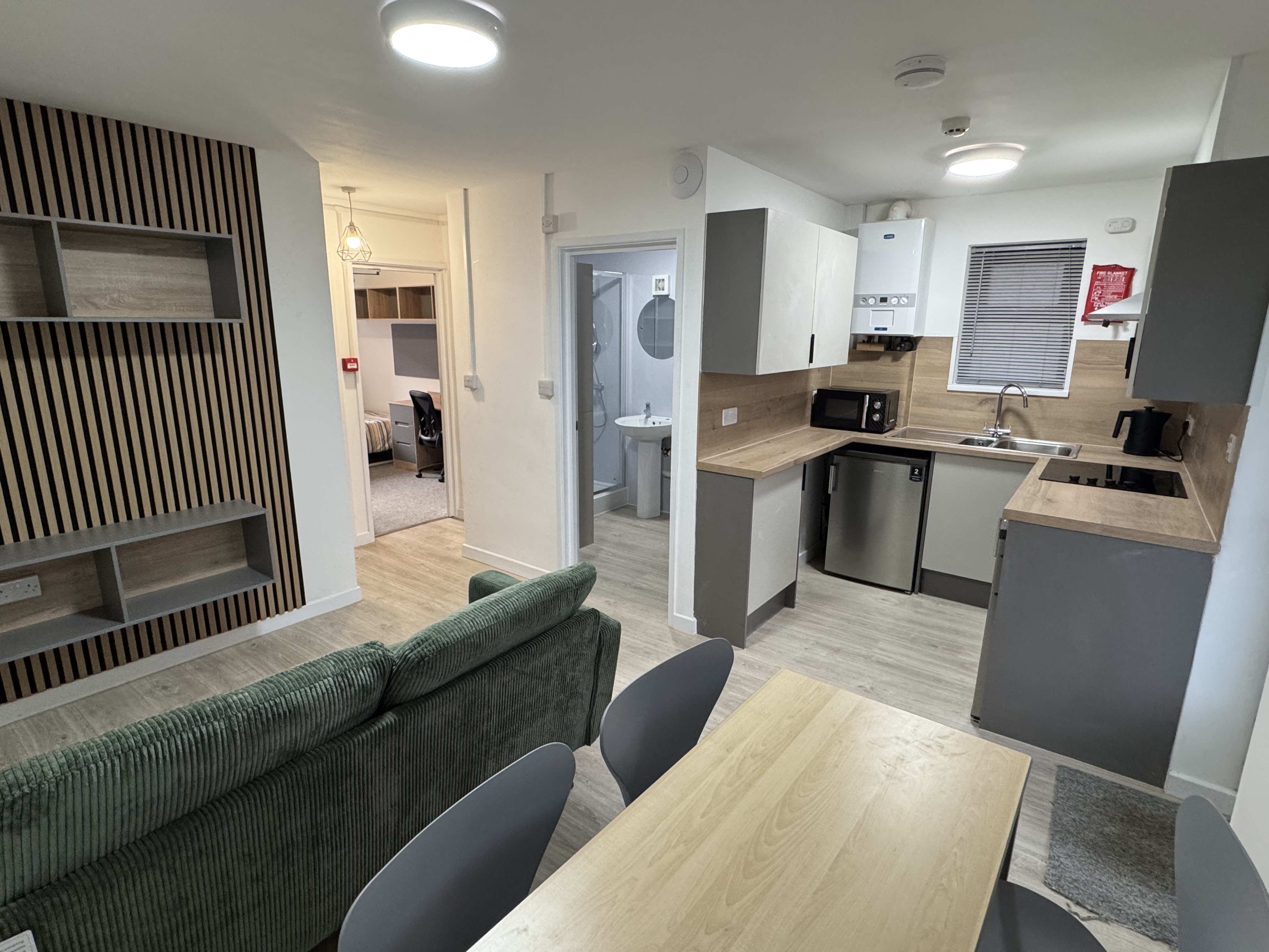 Trem Yr Aifft Flat 6  — photo 4