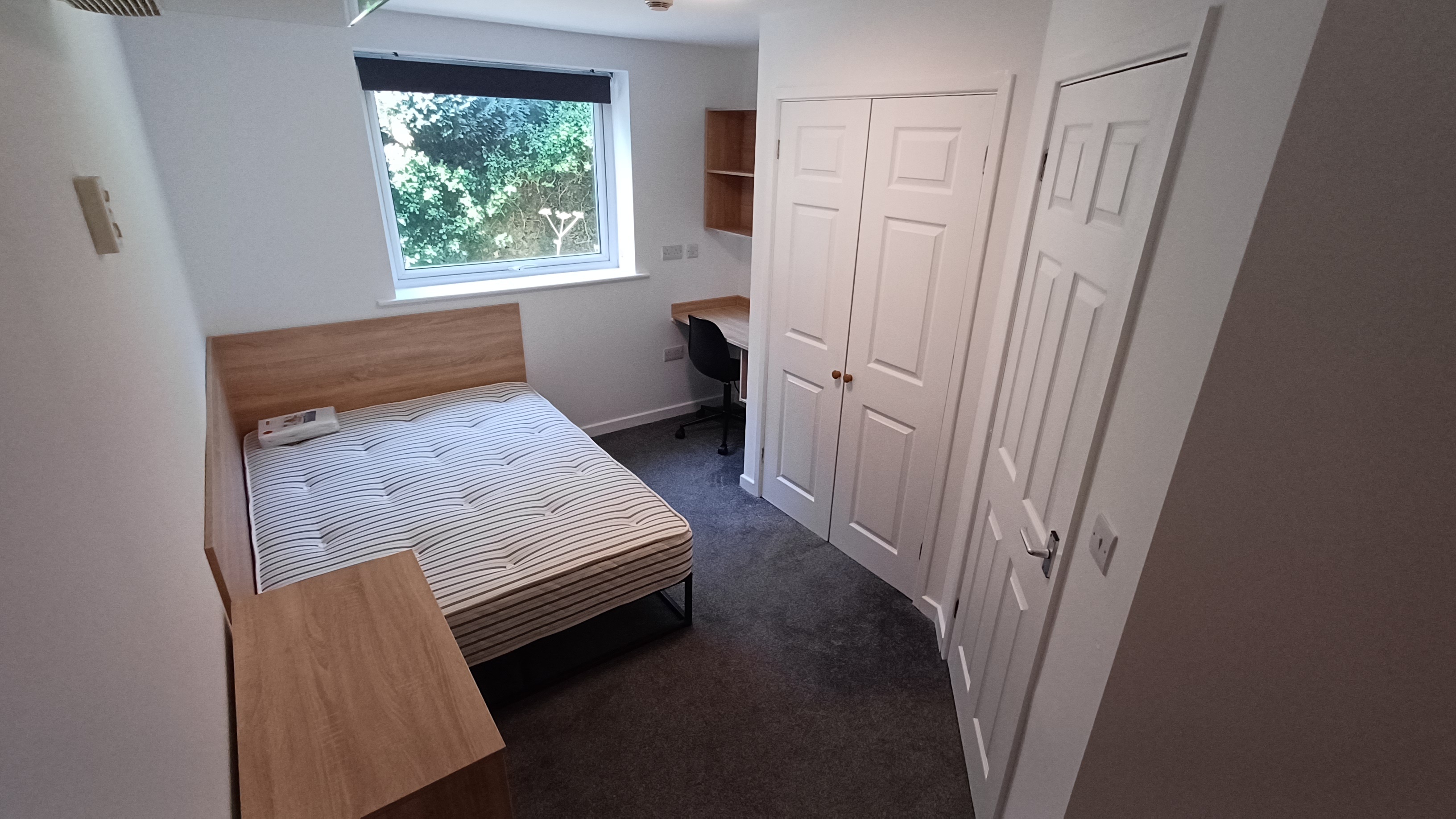 New Willows 1F En Suite  — photo 2