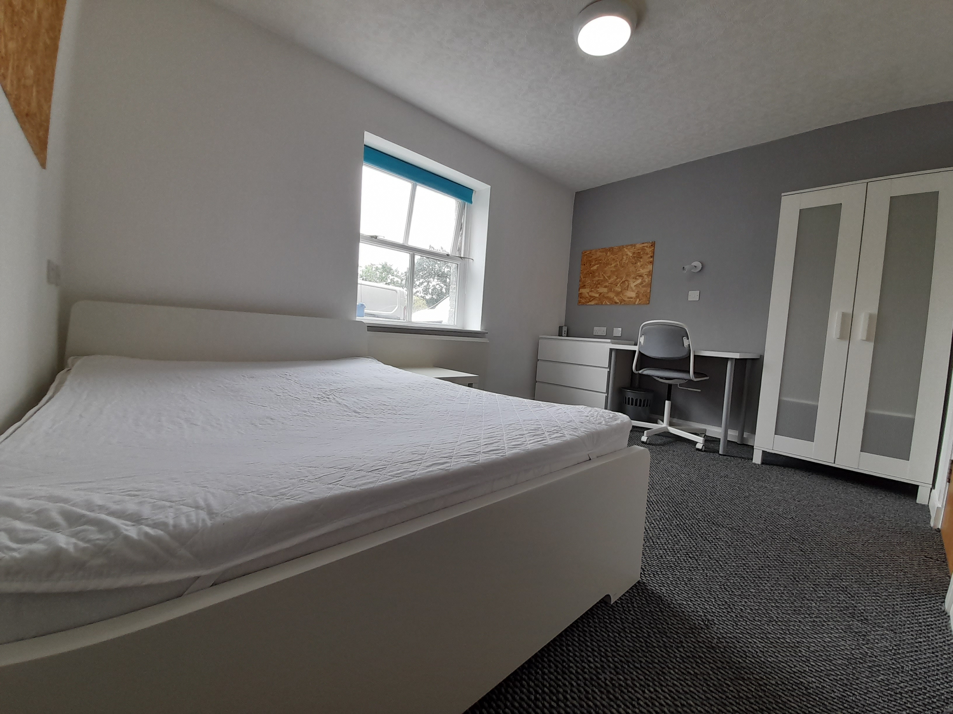 Meirion Flat 6 — photo 2