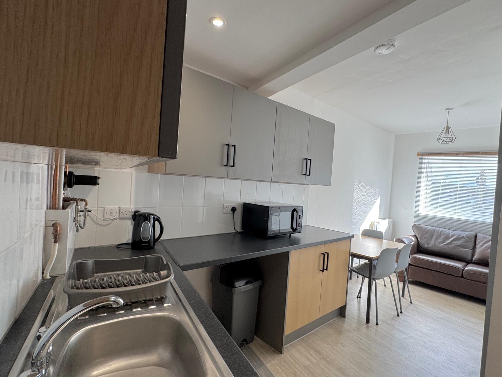 Trem Yr Aifft Flat 2  — photo 14