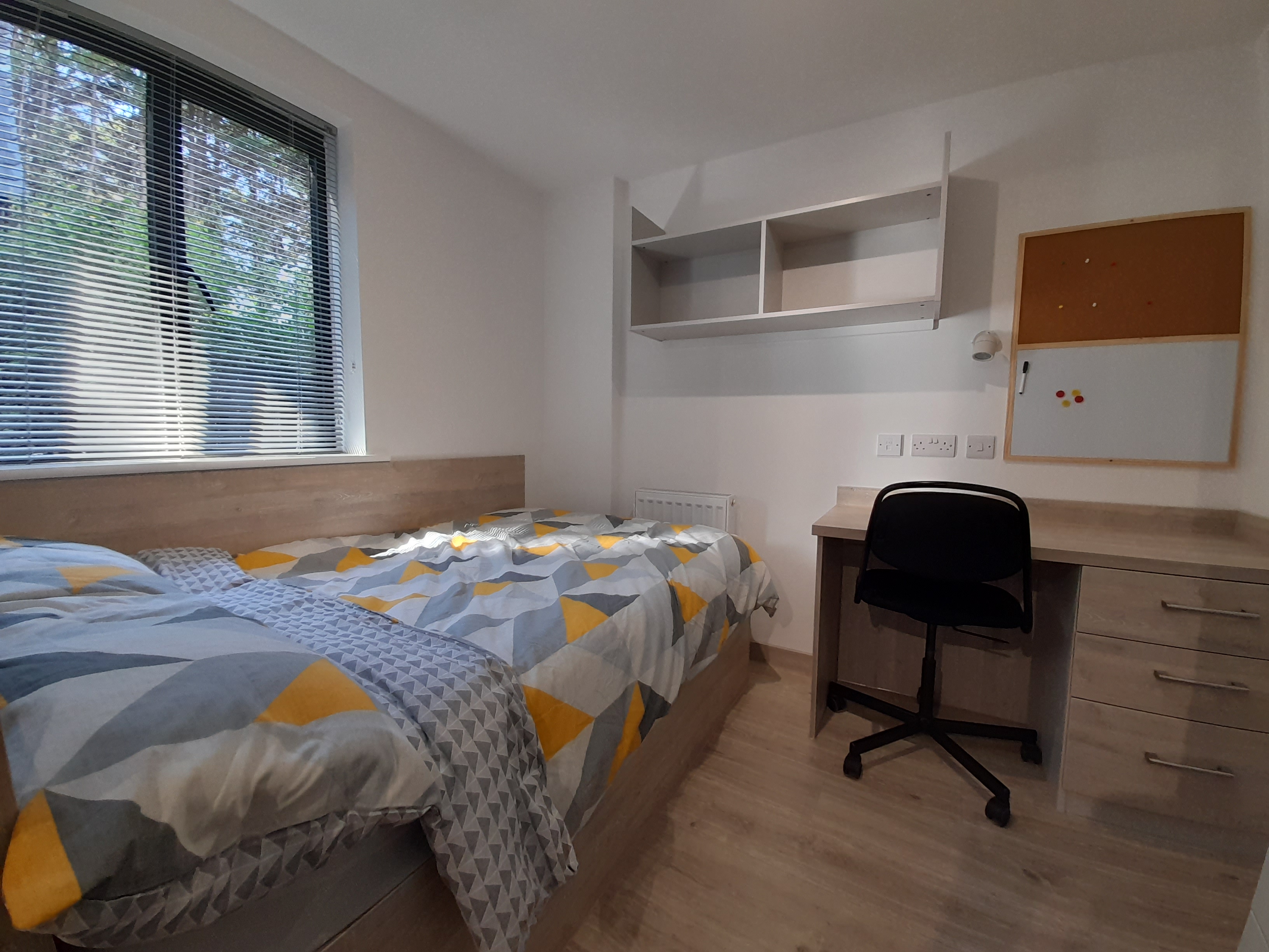 Princes Hall Flat 3 — photo 5