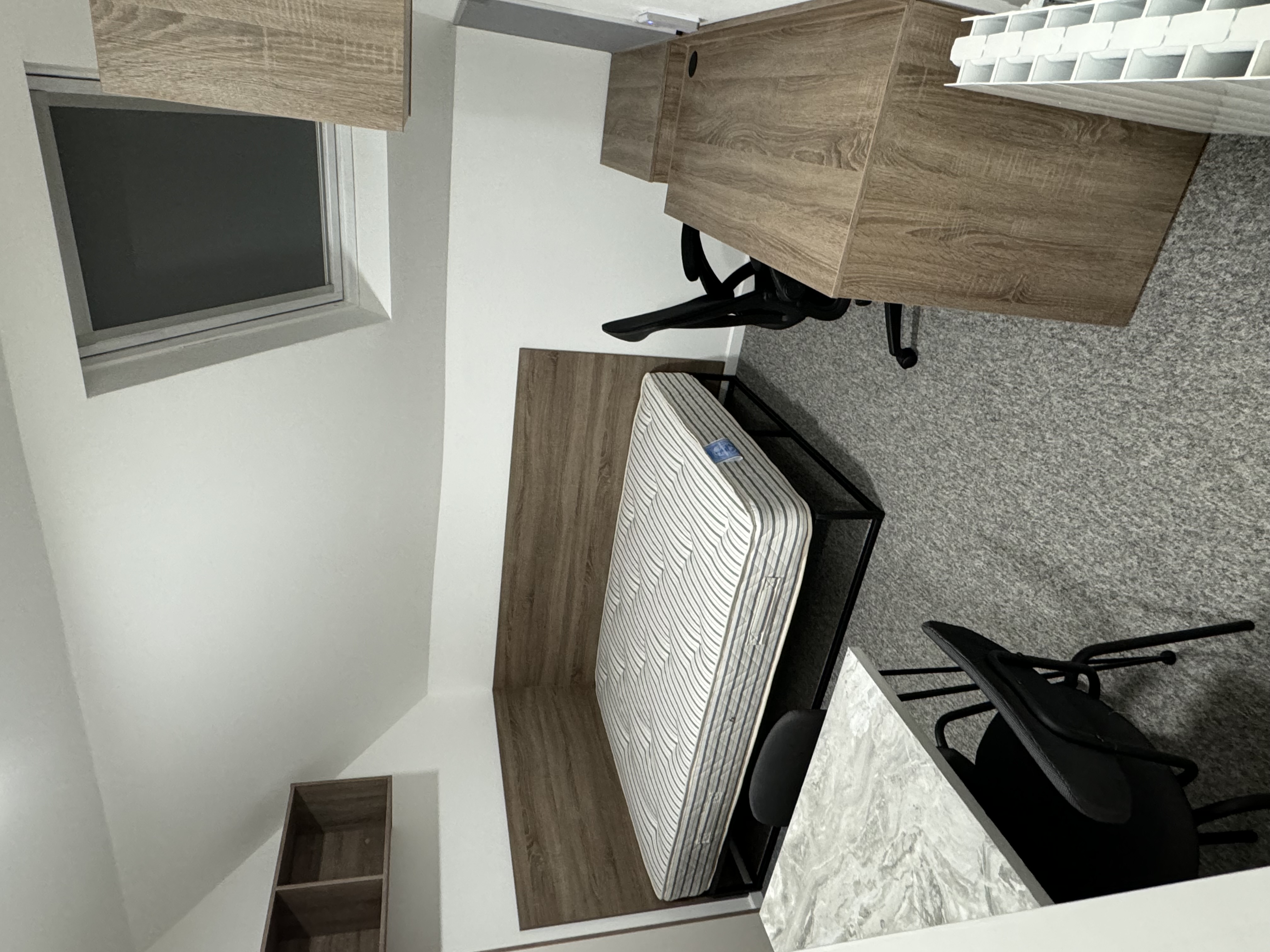 The Willows Flat 8  — photo 6