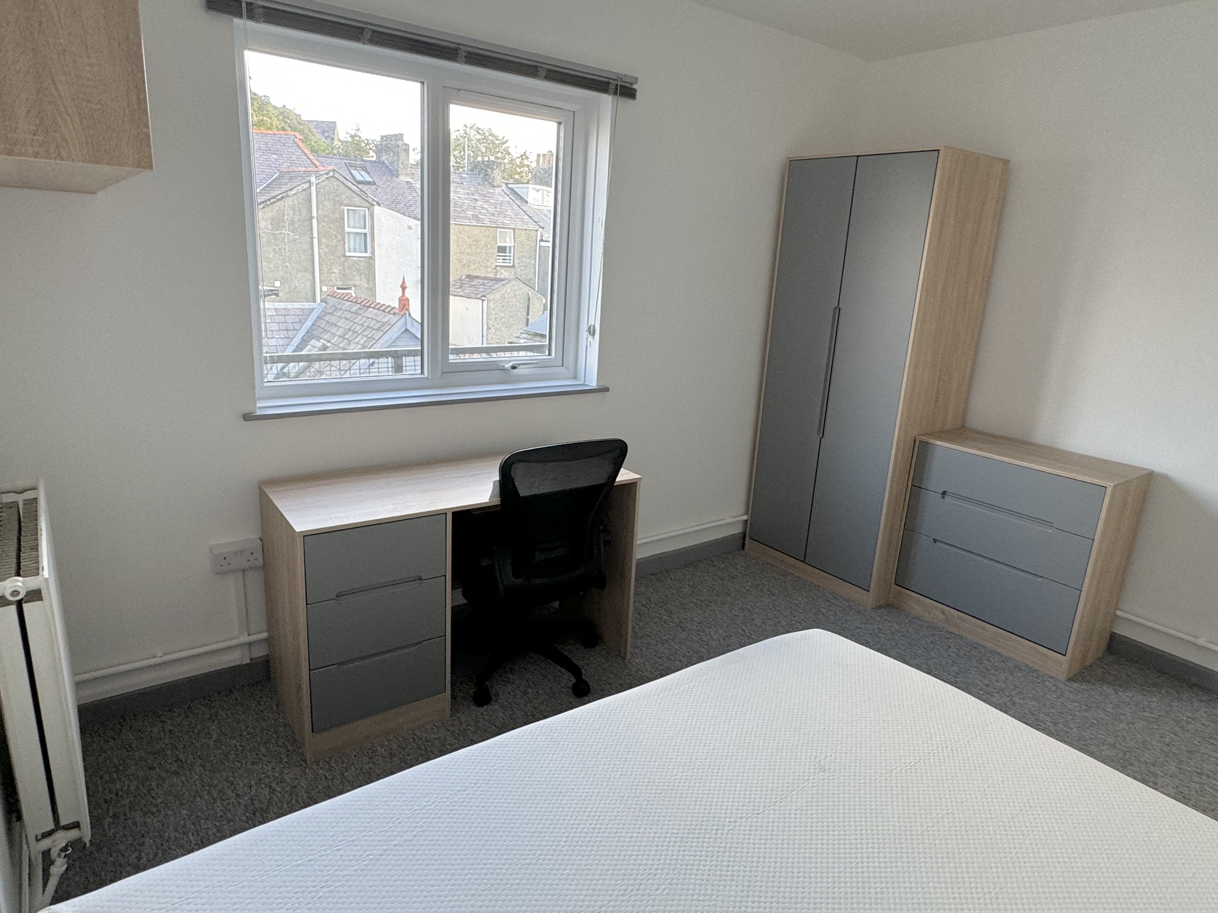 Trem Yr Aifft Flat 3  — photo 9