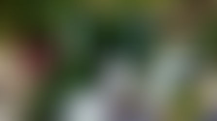 Tanya kosaras termékeink Július hetére