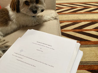 How to Write a Book about Illness