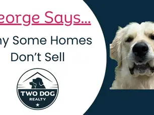 Golden retriever George beside Why Homes Sit on the Market blog title