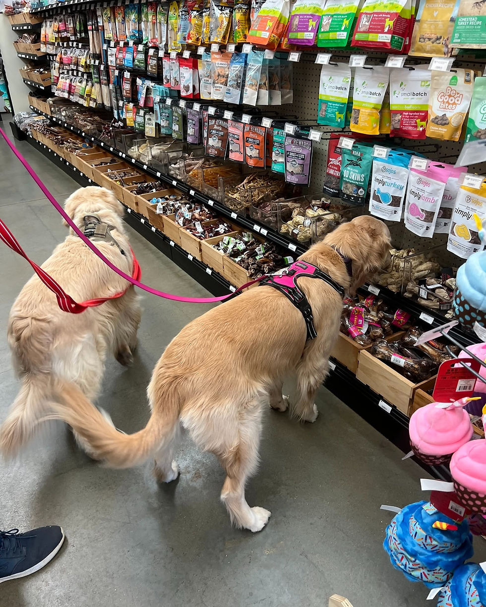 George and Phoebe browsing the natural treat bins at RedRidge Pet Market