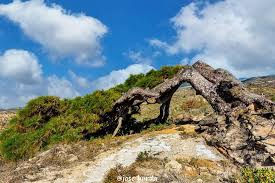 images - 2026-01-08T125124.339.jpg