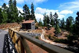 cho panchp2.jpg
