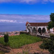 images - 2026-01-17T100858.627.jpg