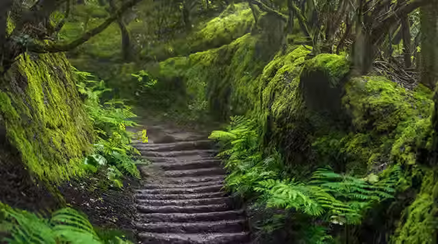 parque-rural-anaga-m (1).avif