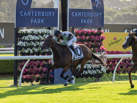 Scrumptious Too Good at Canterbury.