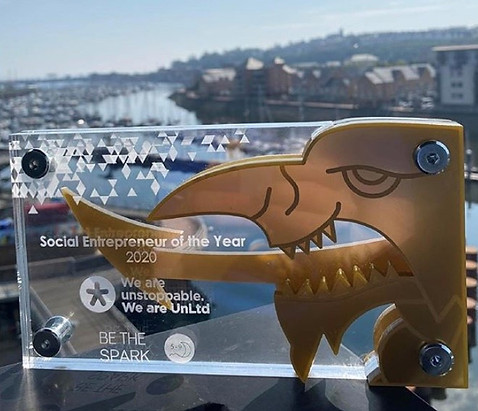 A bespoke trophy in front of a backdrop of Cardiff Bay.  The trophy is made of a mixture clear and gold acrylic and personalised with the business, sponsor and category winner