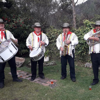 papayeras en Bogotá, servicio dentro y fuera de la ciudad