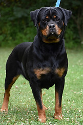 7DEFD180-83D2-414D-9AE5-1753E38D2187_1_2