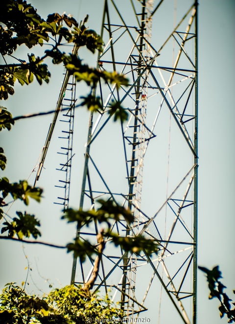 20220814_MarcioPannunzio_DesmontagemdeTorredeTelefonia_-70.jpg