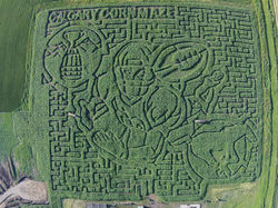 2015 Corn Maze Aerial