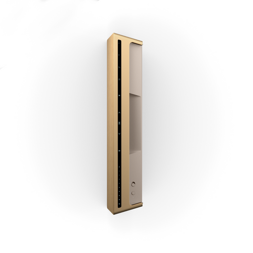 Beosound Level Gold Tone Alu/Light Oak | Icomputing Solutions