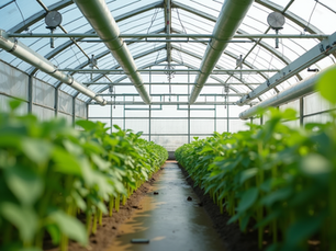 Modern greenhouse climate control systems in South Africa