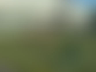 ボールを奪われないよう守り抜く