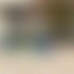 大岡山駅近くの強いサッカーチーム