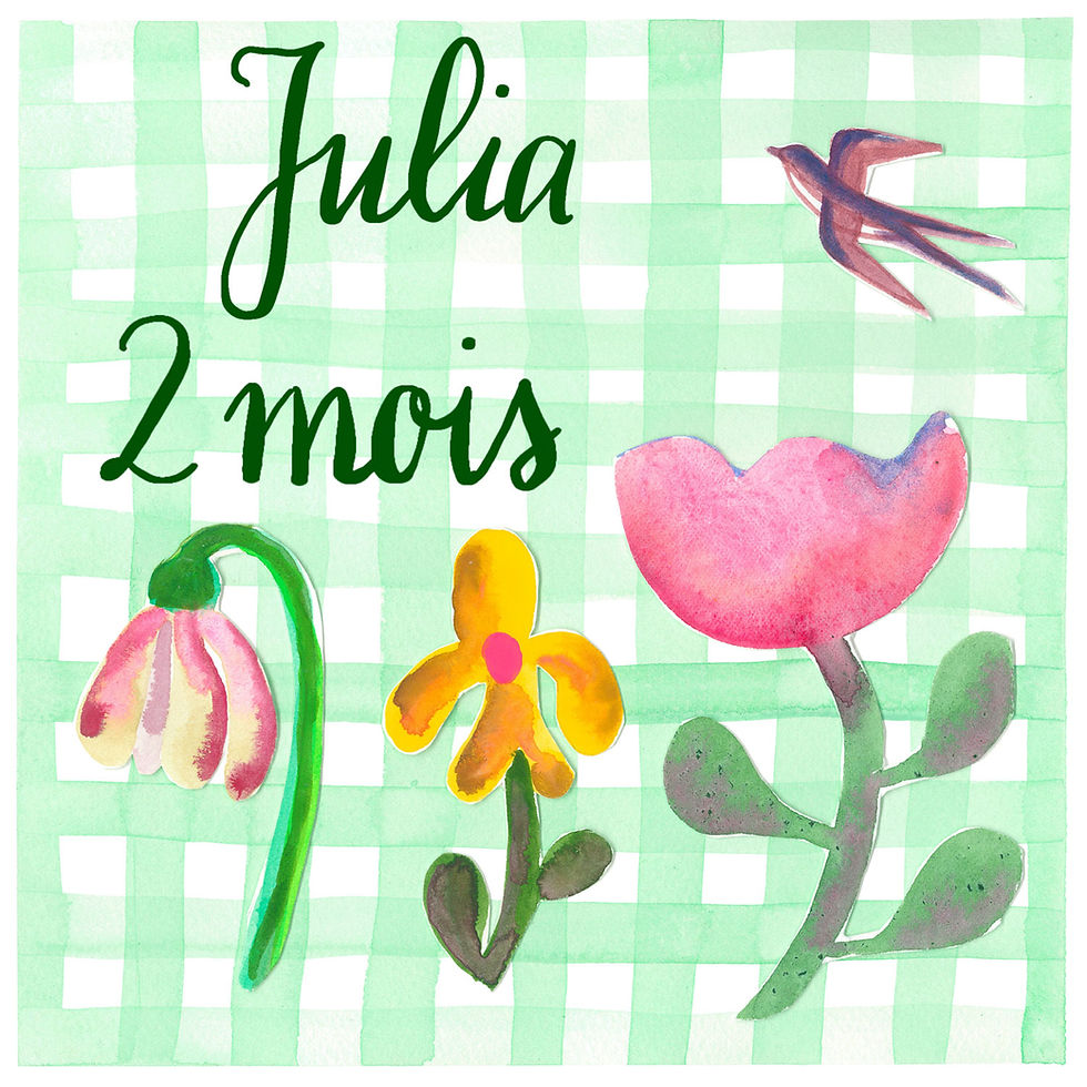 Miniature : LOT de 6 affiches mois et une affiche naissance