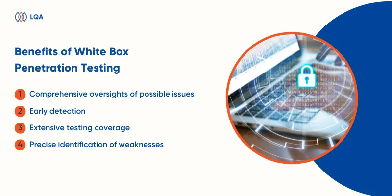 A Comprehensive Guide to White Box Penetration Testing