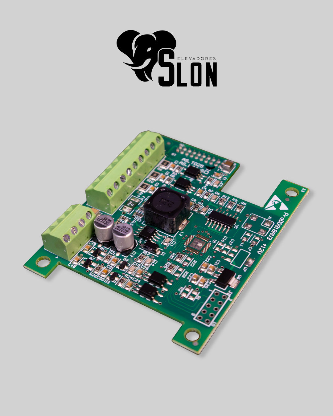 Tarjeta PG Card T025 12V (Step)
