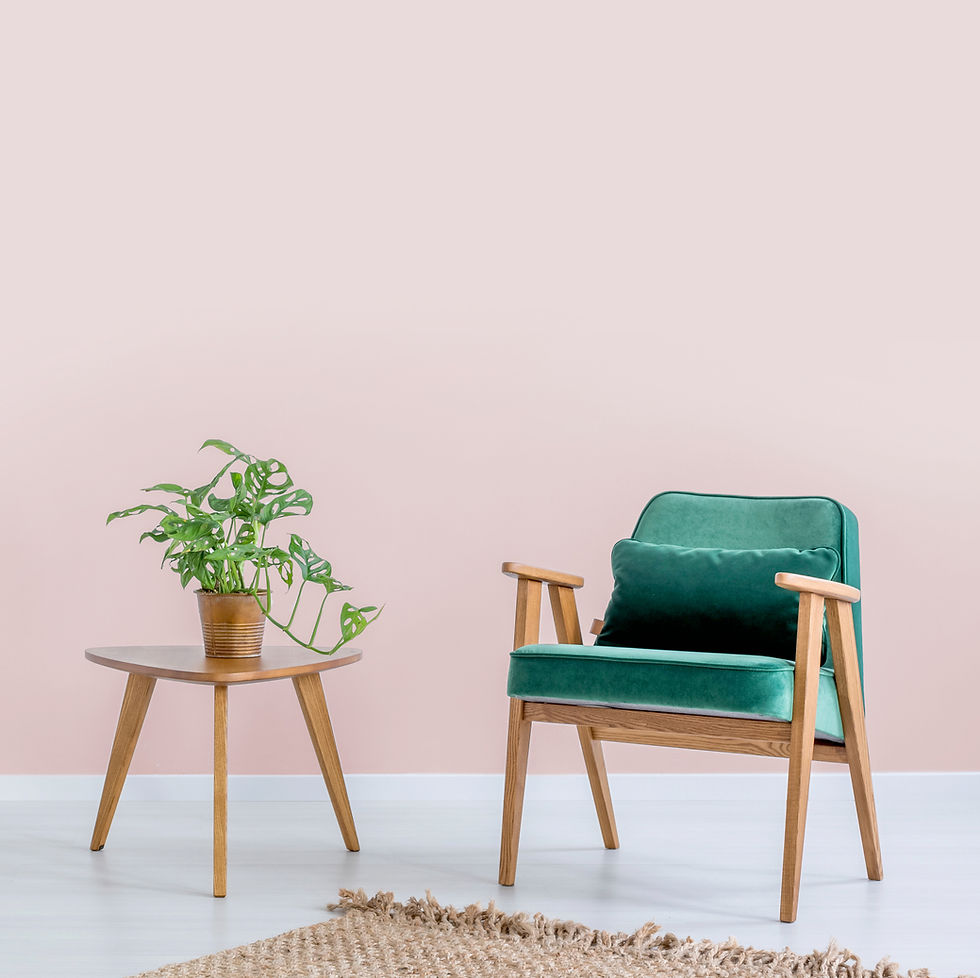 Chair And Plant