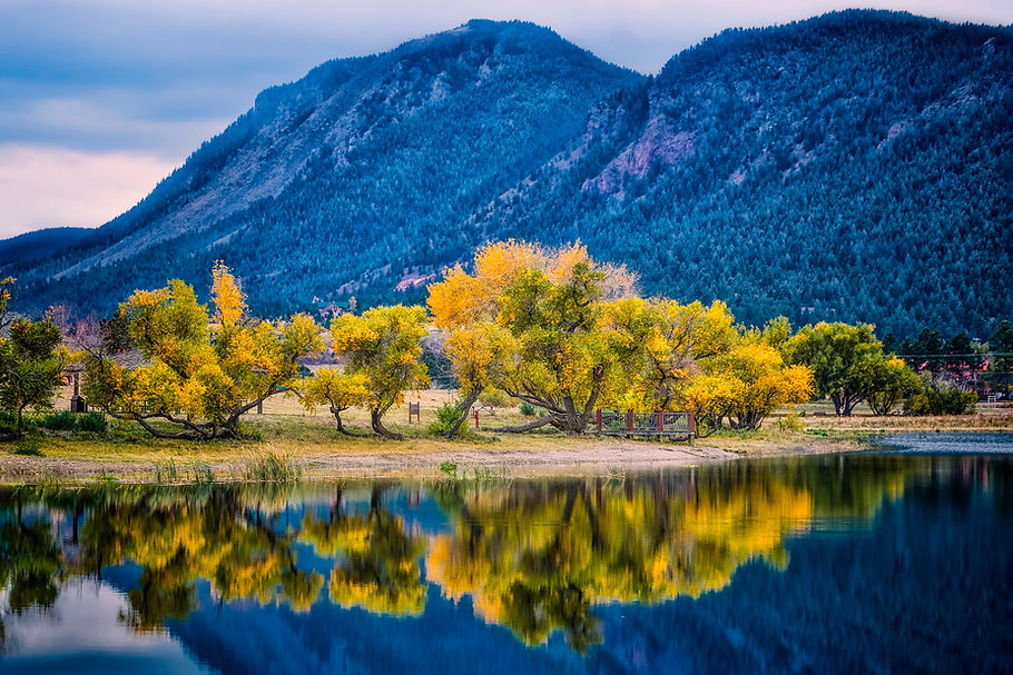 Trees-by-Lake.jpg