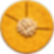 OP – MUTHUR – Y