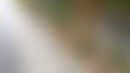 Let It Rain: Bioswales at Rosita Park Help Slow It, Spread It, Sink It